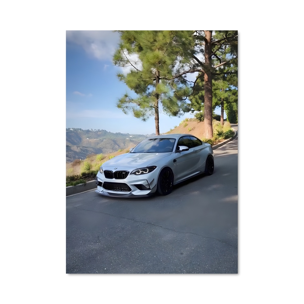 Poster BMW M2 sur Route
